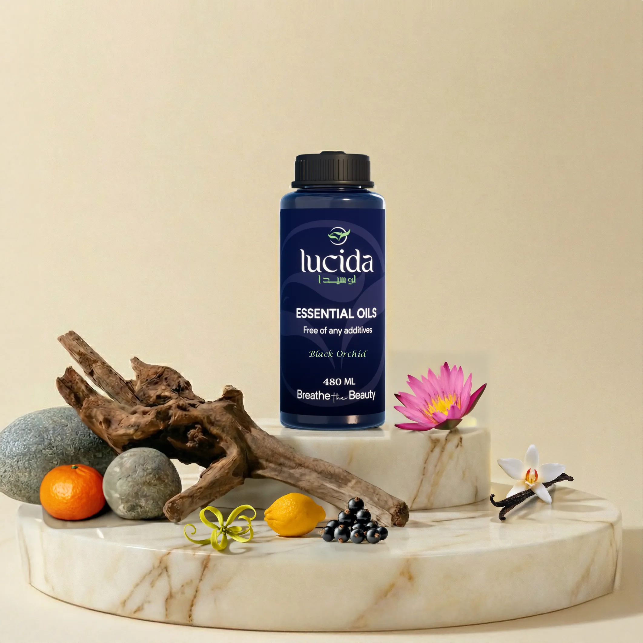 black orchid بلاك اوركيد - BLACK ORCHID - الصورة 1